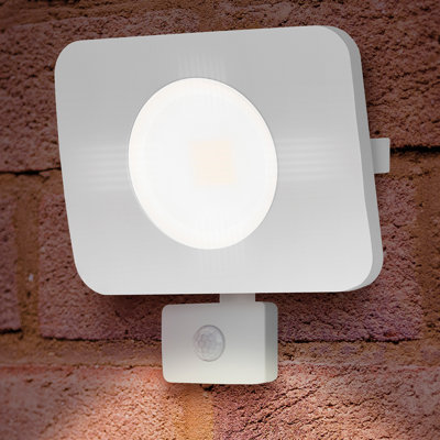 Oxley 1-Light LED Flood Light