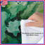 Édredon vert à motif abstrait Splash Bedding-123093011