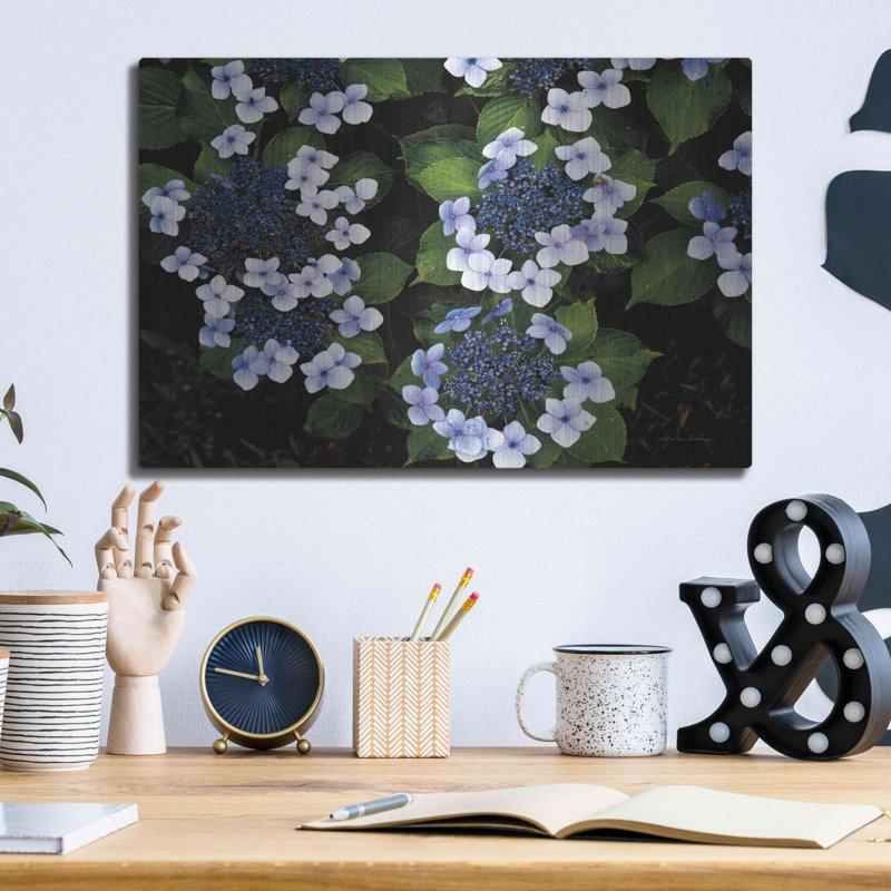 Hydrangeas Ouverture par Debra Van Swearingen, H 12 po x l 16 po