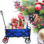 Chariot de plage pliable-112834166
