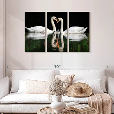 Famille de cygnes Brampt
