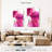 Harnek Bougainvillea-108528135