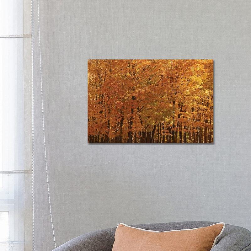 Maple Forest At Peak by Brian Wolf - Wrapped Canvas Print, 66.04 cm H x 45.72 cm W x 1.91 cm D