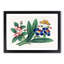 A Butterfly & Flowers - Framed Print-48208826-87665778