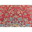 Tapis oriental rouge unique 10X13 One-of-a-Kind