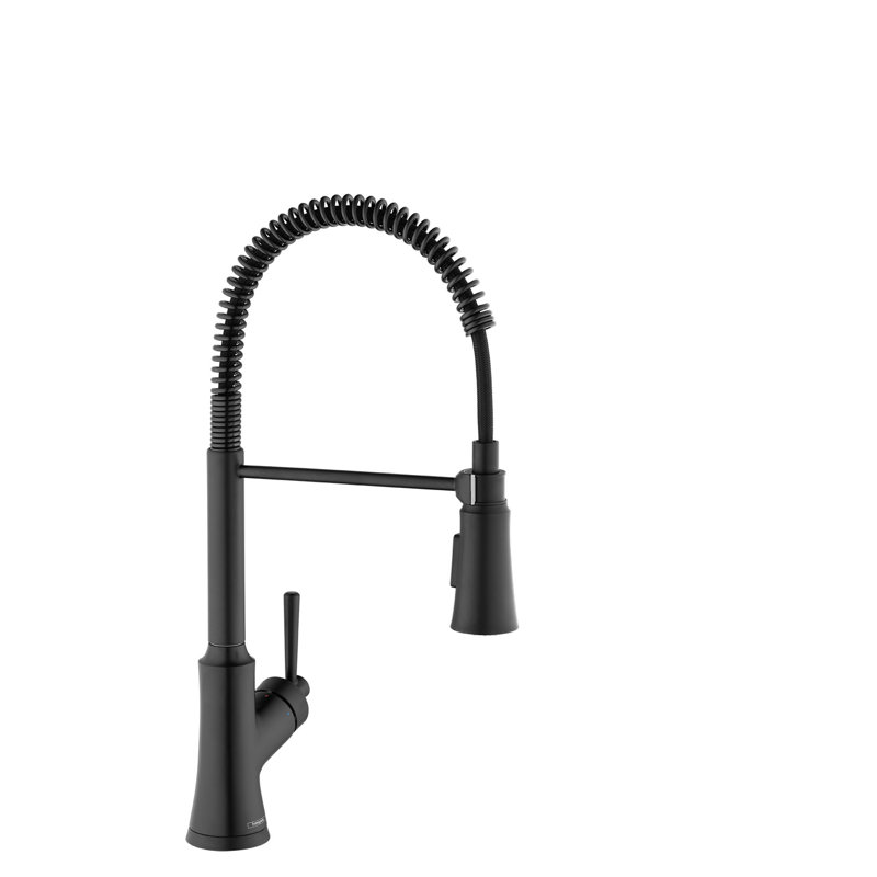 Joleena Pull Out Single Handle Kitchen Faucet, Matte Black