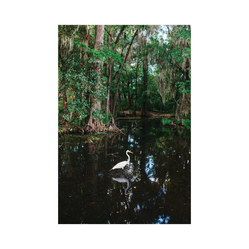 Charleston's Magnolia Plantation VI by Bethany Young - Print on Canvas, Wrapped Canvas, 66.04cm H x 45.72cm W x 3.81cm D
