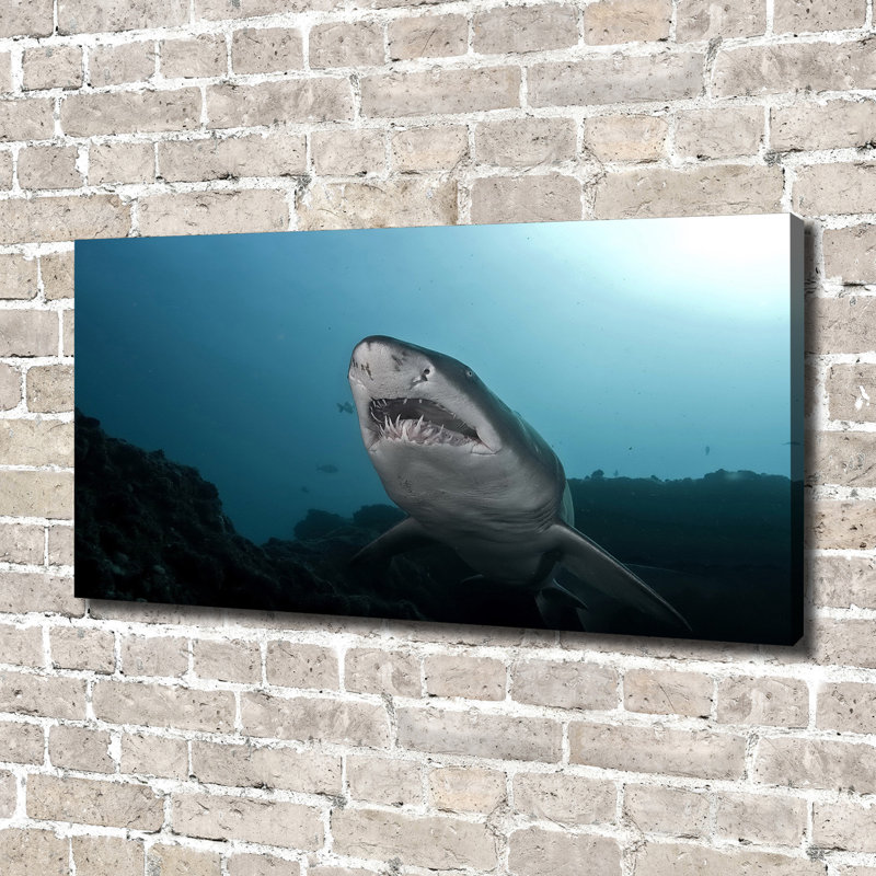 Big Shark - No Frame Print on Canvas