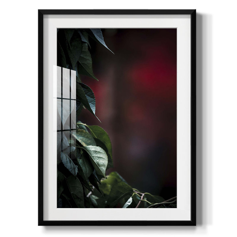 Dramatic Foliage I - Impression encadrée, H 25,5 po x l 17,5 po, Noir