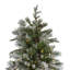 6.5' Pre-Lit Led Flocked Mixed Colorado Pine Artificial Christmas Tree - Clear Lights-861110406-862314958