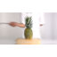 Couteau de chef 8 po Linoroso