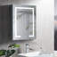 Miroir d'armoire à pharmacie sans cadre H 32 po Palethorp-88587051