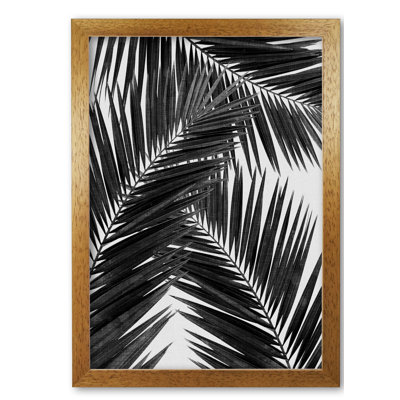 PaIm Leaf III - Print