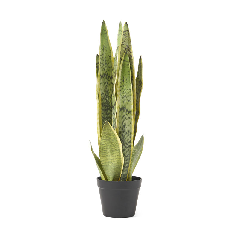 Faux Snake Plant (Sansevieria) Plant, 26" H x 9" W x 9" D