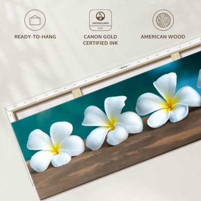 " White Frangipani Flower "