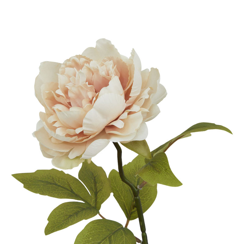 Arrangement, Pink