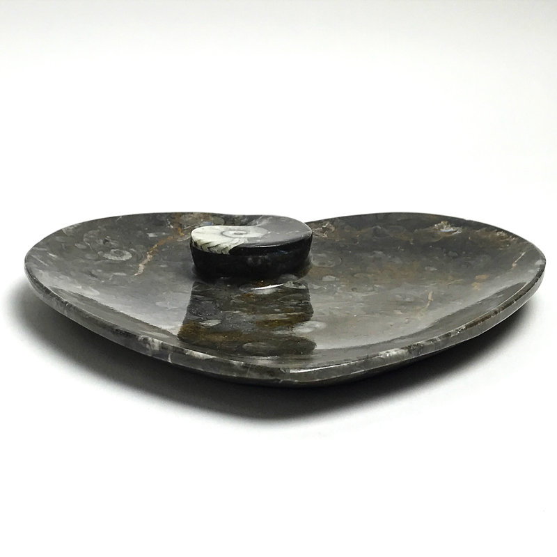 Genuine Polished Goniatite Fossil Heart Decorative Plate (Small)
