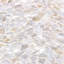 Oyster 12x12 Pebbles Polished Pearl Mosaic Tile