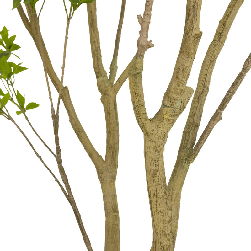 Faux Pieris Tree-Faux Pieris Tree-9.5', 116" H x 92" W