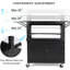 60.96 cm H x 47.63 cm W 2 -Cabinet AV Cart