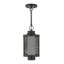 Lanterne suspendue d'extérieur Zebra-1156041724-1154955271