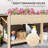 Raised Garden Bed, Wood Garden Box with Bottom Shelf-1408921662