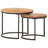 Ivaldo Frame 2 Nesting Tables Coffee Table-877844293