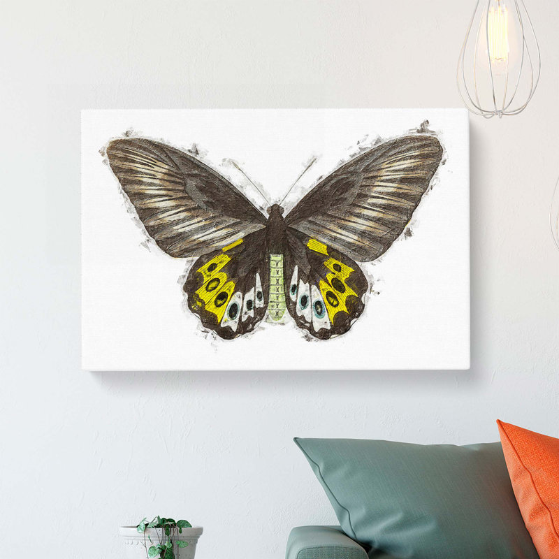 Green Birdwing Butterfly by George Shaw - Wrapped Canvas, 35cm H x 50cm W x 3cm D