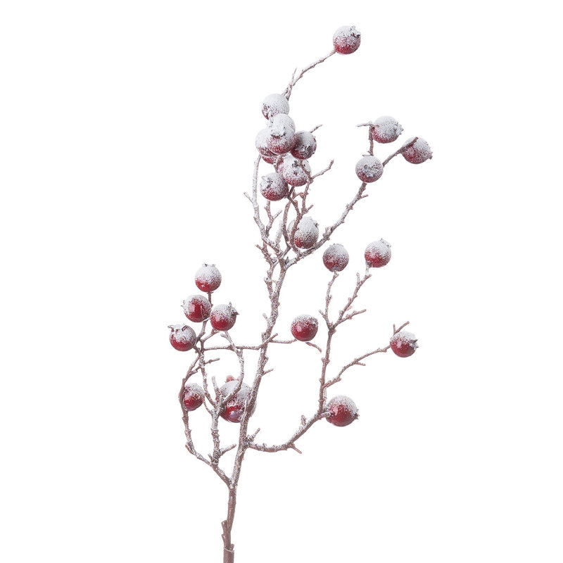 Arrangement