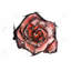 Aquarelle rose - Bureau romantique, impression encadrée