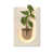 Beige/brun