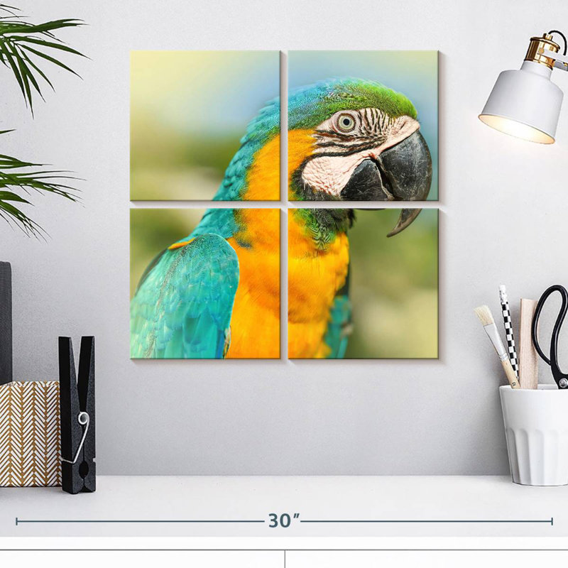 Brampt Parrot, 18" H x 18" W