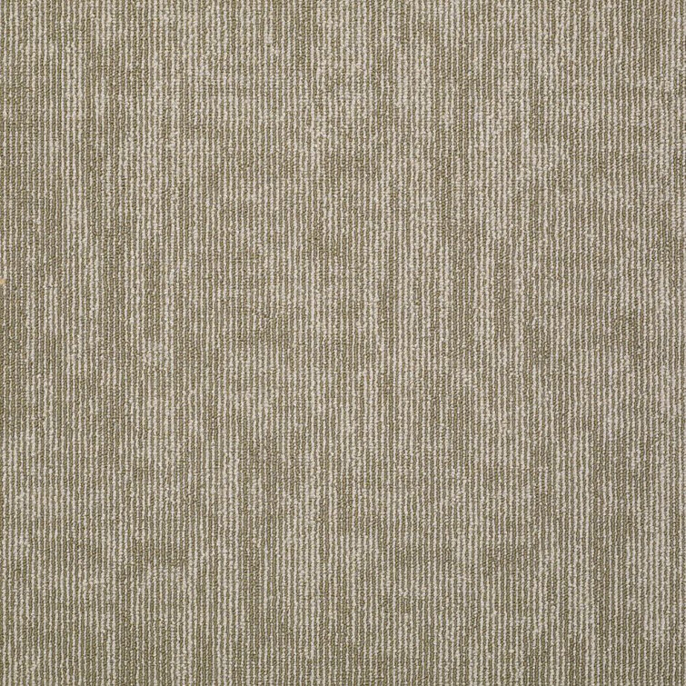 Apollo 24-in x 24-in Multi-Level Loop Adhesive Carpet Tile (48-sq ft)