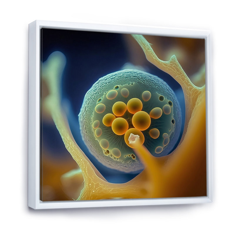 Macro photographie de cellules marines - reproduction, H 30 po x l 30 po x P 1 po, Cadre flottant blanc