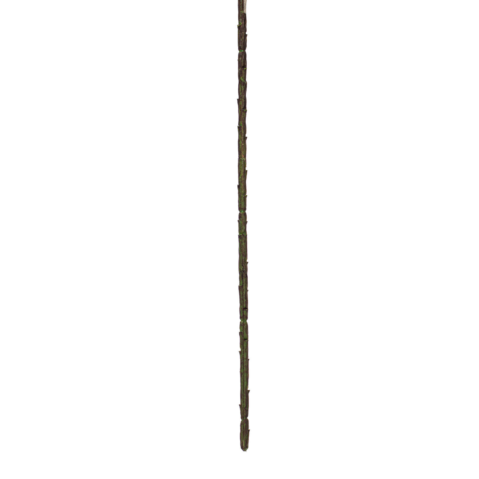 Leaves Spray
