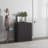 Cesiro Accent Cabinet With Adjustable Shelves-148105256-159153783