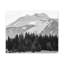 Hiver, forêt, montagne, noir et blanc, nature, photographie sur toile, art mural-843955060