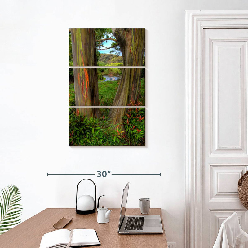 Harnek Roadside Rainbow Eucalyptus, 32" H x 20" W