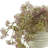 Polysilk Weeping Laurel Arrangement in Vase