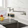 Dilon Kitchen Faucet