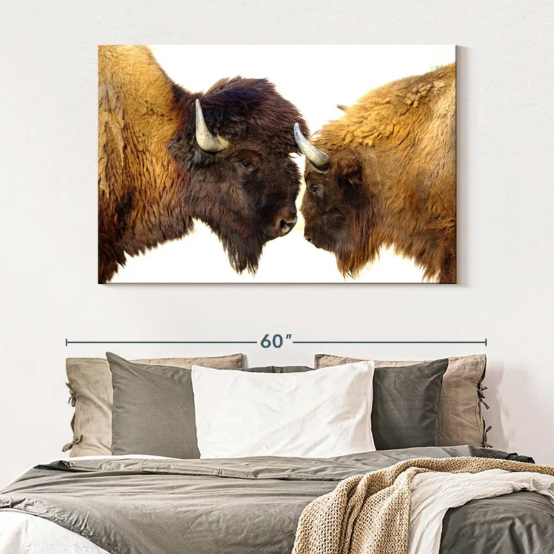 Brampt Bisons I, 34" H x 51" W