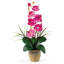 Arrangement floral orchidée en soie phalaenopsis en pot-1648516621
