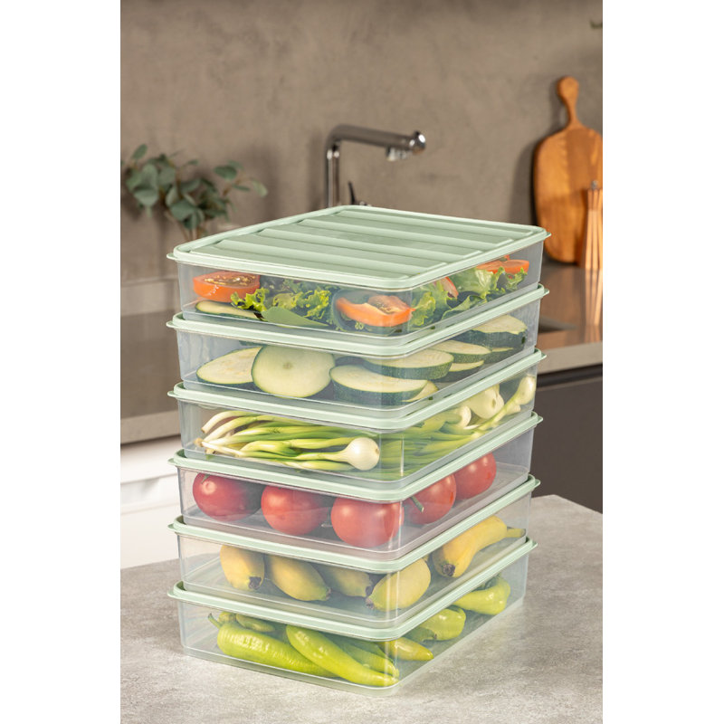 Mint Storage Box Set (6 Pieces), 9.1 x 11.6 x 2.6 Inches | 100% Plastic, 118.3 Fl Oz Total Capacity | Dishwasher Safe, Ideal for Organizing Home, Office, & Kitchen, Durable and Stylish Design