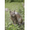 Animals Weather Resistant Water Resistant UV Resistant Polyresin Garden Statue
