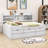 Tammeria Full / Double Daybed with Trundle-647689701