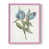 Rose n'est pas disponible
