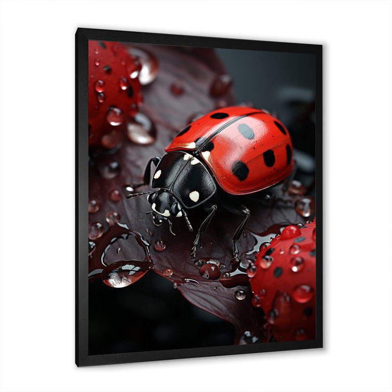 Yohanan Insectes Bugs Microcosmic Harmony II - Imprimé, Cadre simple noir, H 20 po x l 12 po x P 1 po