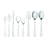 Aamer 53 Piece Flatware Set Polished
