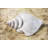 Teejay Nautical & Beach Garden Statue