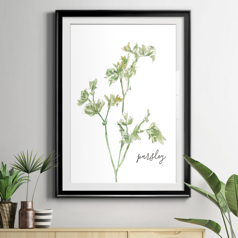 Fresh Sprig Parsley - cadre photo, reproduction d'art sur papier, H 18,5 po x l 24,5 po x P 1,5 po, Noir